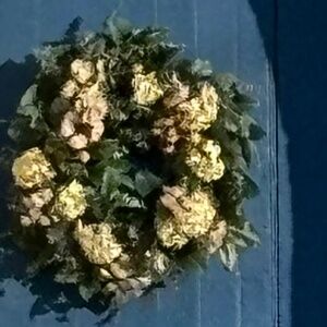 Meet your Posher, Leonne